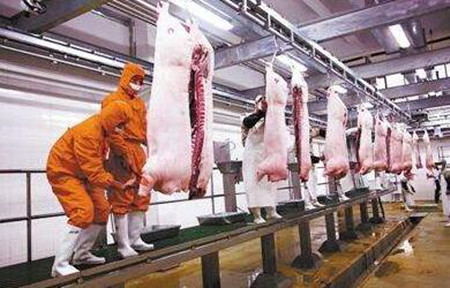 一头猪的屠宰费竟高达500元？屠宰乱收费现象何时休？