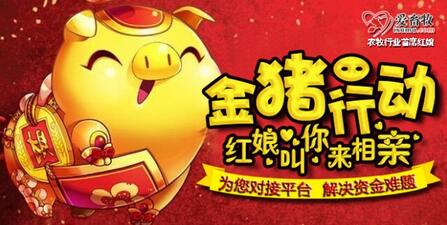 【2017爱畜牧红娘行动】“金猪在行动”融资对接活动