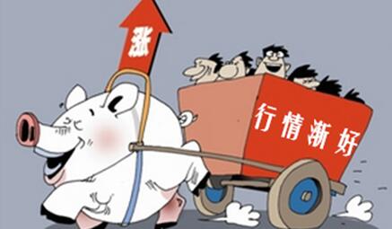 5月猪价将以稳定微涨为主，现在正是入手补栏的好时机