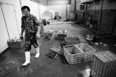 肉制品加工企业1000多公斤猪耳朵没进货票据遭查封