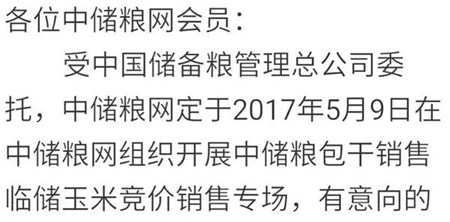 临储玉米拍卖只有三四年前的陈粮？错！还有80万吨优质粮