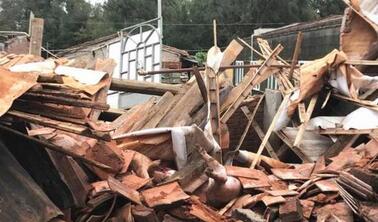 莆田秀屿一家合法养猪场被拆除 生猪遭活埋