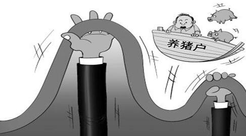 二季度上涨还是下降？下半年猪价还将会发生新变化！