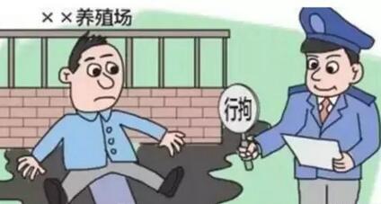 猪价不涨，环保、走私、暴雨又来袭，养猪人该咋办？！