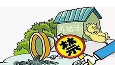 限养！万头猪场被要求迅速转运生猪，不达标就关停