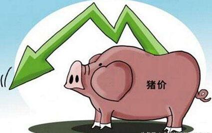 应该从哪些方面预测猪价下跌？