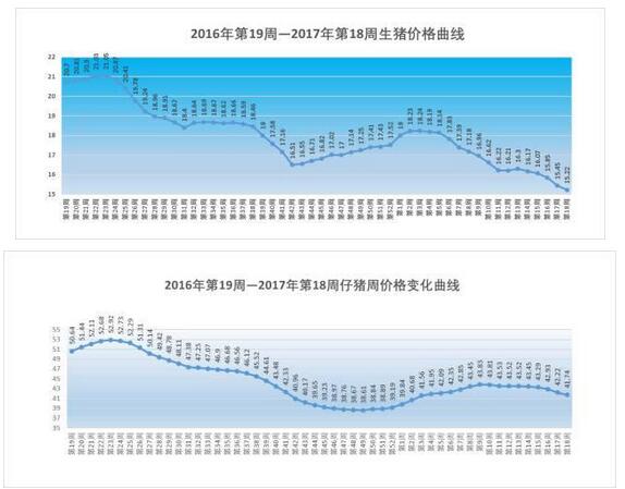 今年第18周生猪价格、仔猪、玉米和猪料比价分析