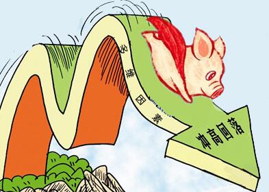 猪市变化与时俱进 今年行情走势波动或加剧