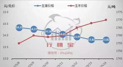猪价“破7”是否已跌到底？本周或见分晓！