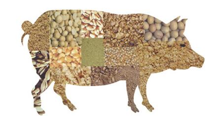 青岛在8个批次饲料检出今年央视3·15晚会曝光的喹乙醇