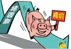 本轮猪周期或将接近尾声 机构预计全年猪价下行