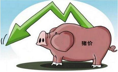 戳破两个谣言：猪价明年会不会涨，比13、14年更惨？