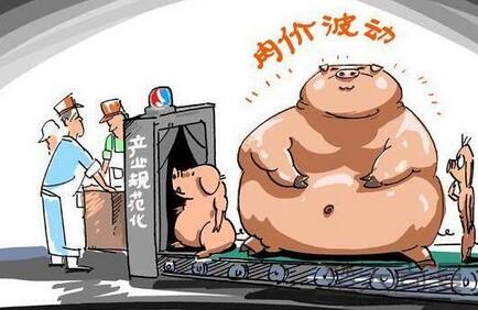 专家预测明年养猪将大亏损，养殖户该怎么应对？