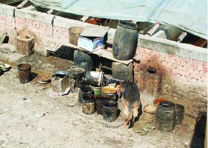 一泔脚猪养殖大棚遭遇强拆 是暴力还是另有隐情？