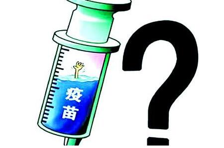 不肖业者将原厂环状病毒疫苗加水稀释，转售给猪农牟利