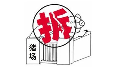 猪场拆迁难！思想转变难！记者亲历河北农村猪场拆迁