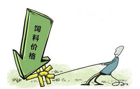 国内豆粕价格触底反弹，2800元/吨仍是支撑点！