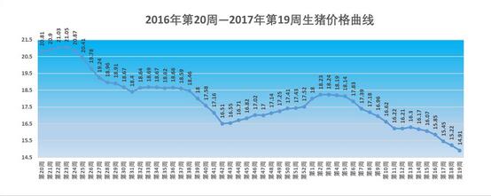 第19周猪价，仔猪 二元母猪 玉米价，猪粮比价分析