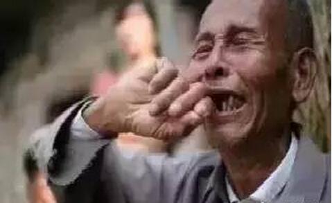 养猪人：我哭了，我再也不养猪了！