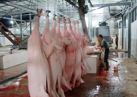 全国取缔3583个生猪屠宰点 对于农村养殖业是好是坏？