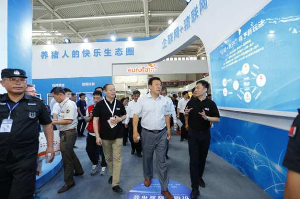 “猪周期”怎么破 国家生猪市场放大招