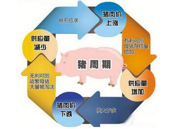 猪肉价格持续下滑表明另一个周期已经来临？
