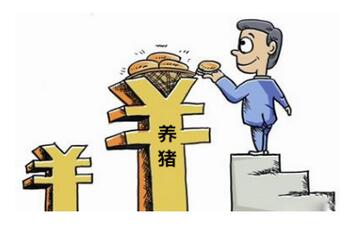 年出栏肥猪1500头，养殖户给大企业做生猪代养能挣多少？