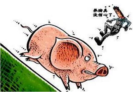 端午节前后，生猪交易市场或将受这两个因素影响……