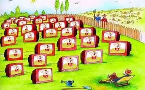 农业园连上物联网 操作手机就能养猪种地