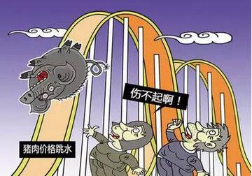 一番“动荡波澜”之后，养猪真的无路可走了吗？