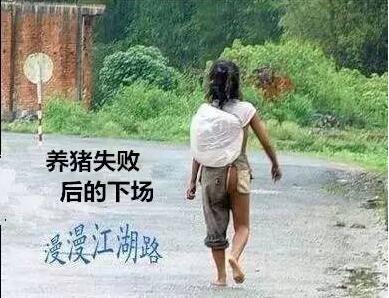 屠宰企业的每一次出手都是有默契和时机的……