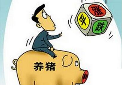 专家：猪价不存在大幅下跌的可能，但这3点需要注意！