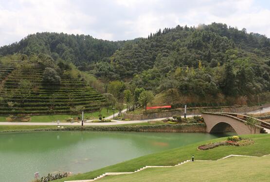 环保重压下，一个养猪场的“绿色”转身……