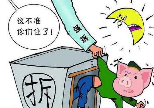 可养区并非养猪“天堂”，危险四伏不可不防！