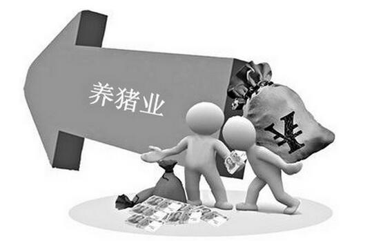 从南猪北调和价格震荡中看待猪业发展趋势