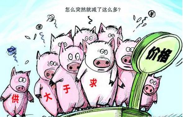 猪坚强不再 猪肉价格持续下滑 不少猪场已现投资亏损