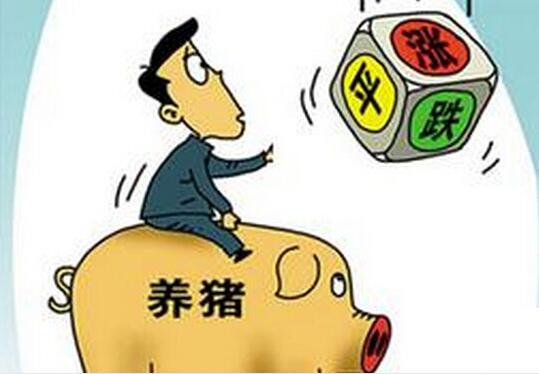 猪价开始涨了，想诱惑我？没门！