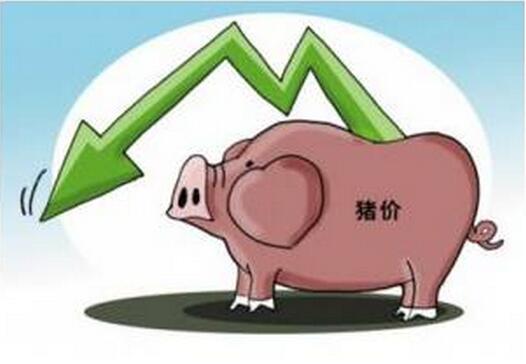 别闹了！不好好高考，你连猪都养不了！