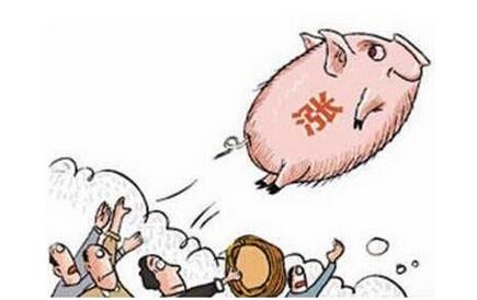 万紫千山一片红！养殖户又见希望！猪周期走了吗？