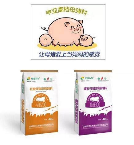 申亚高档母猪料——让母猪爱上当妈妈的感觉！