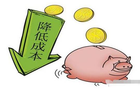 新手养猪这么做，让你的猪从小就赢在起跑线上！