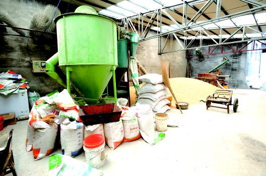 猪肉价格跳水都赖进口？数量少口感差进口猪难撼市场