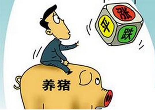 在猪价大跌势面前，我们最应该干的三件事……