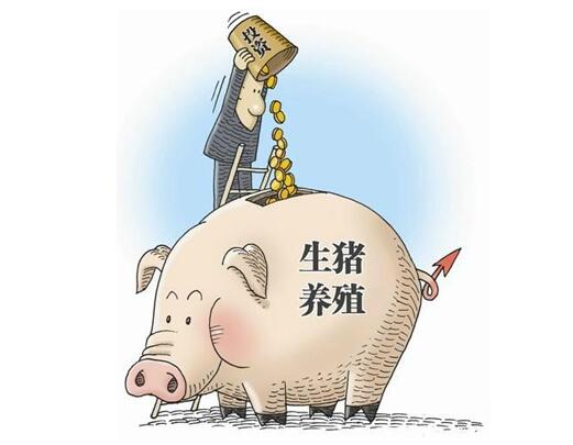 既然养猪这么累，为什么还有人愿意养猪？这是何苦呢