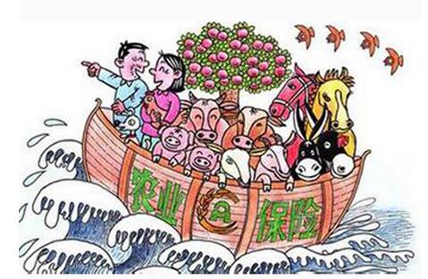 养猪人赶紧看过来！种地、养猪可享受“工伤”保险