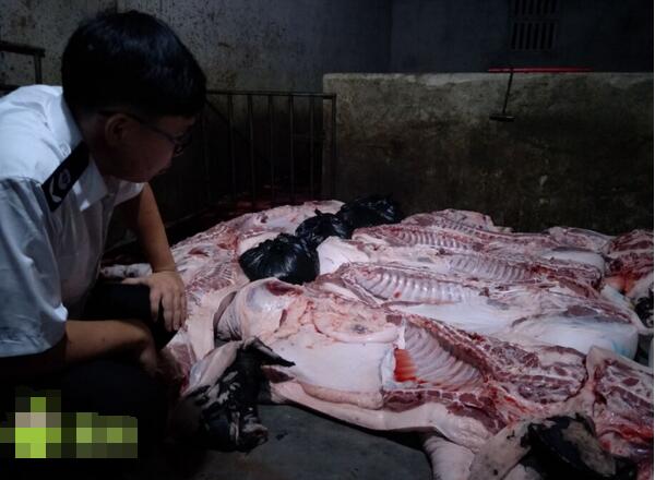 海口一私宰生猪窝点被端，老板直喊“我亏死了”！