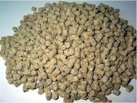 猪服药后十大忌口饲料，切记切记！