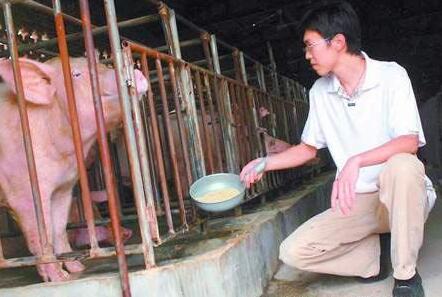 别吓我！千钧一发，养猪人都要放弃养猪吗……