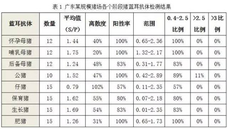 如何正确认识猪蓝耳病，首先从看懂抗原抗体报告开始