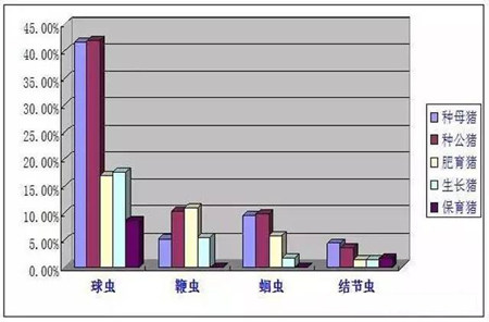 夏日炎炎猪场问题多，驱虫方法你真的掌握了吗？